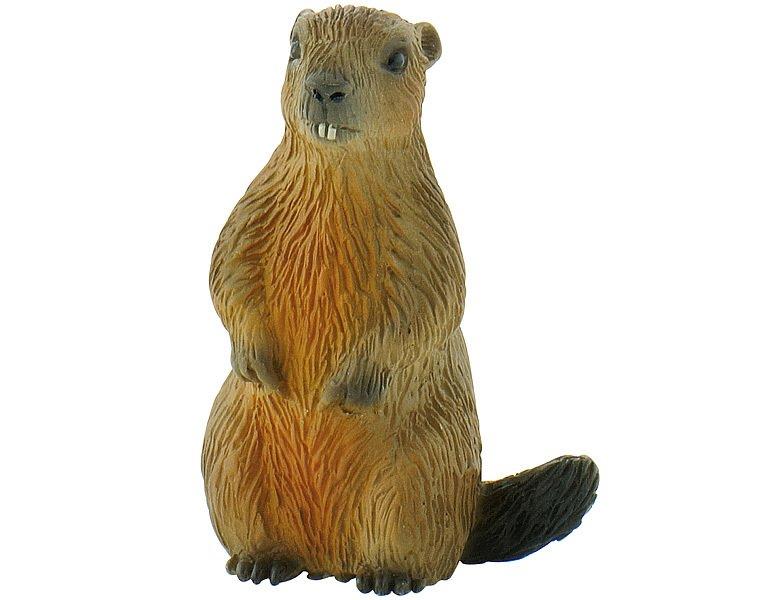 Image of Animal World Murmeltier