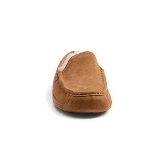 UGG  Ascot-11 