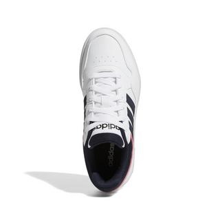 adidas  baskets hoops 3.0 low classic 