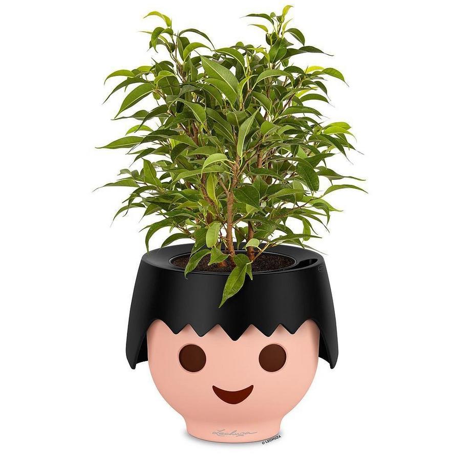 Lechuza fioriera Plastica  