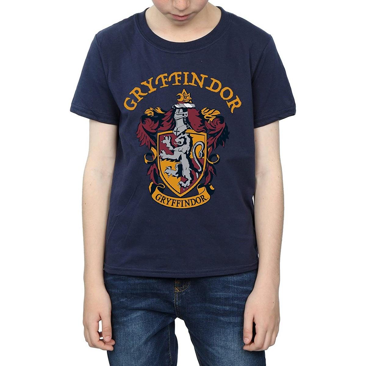 Harry Potter  Tshirt 