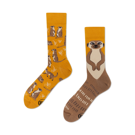 Many Mornings  The Meerkat Chaussettes - Many Mornings 