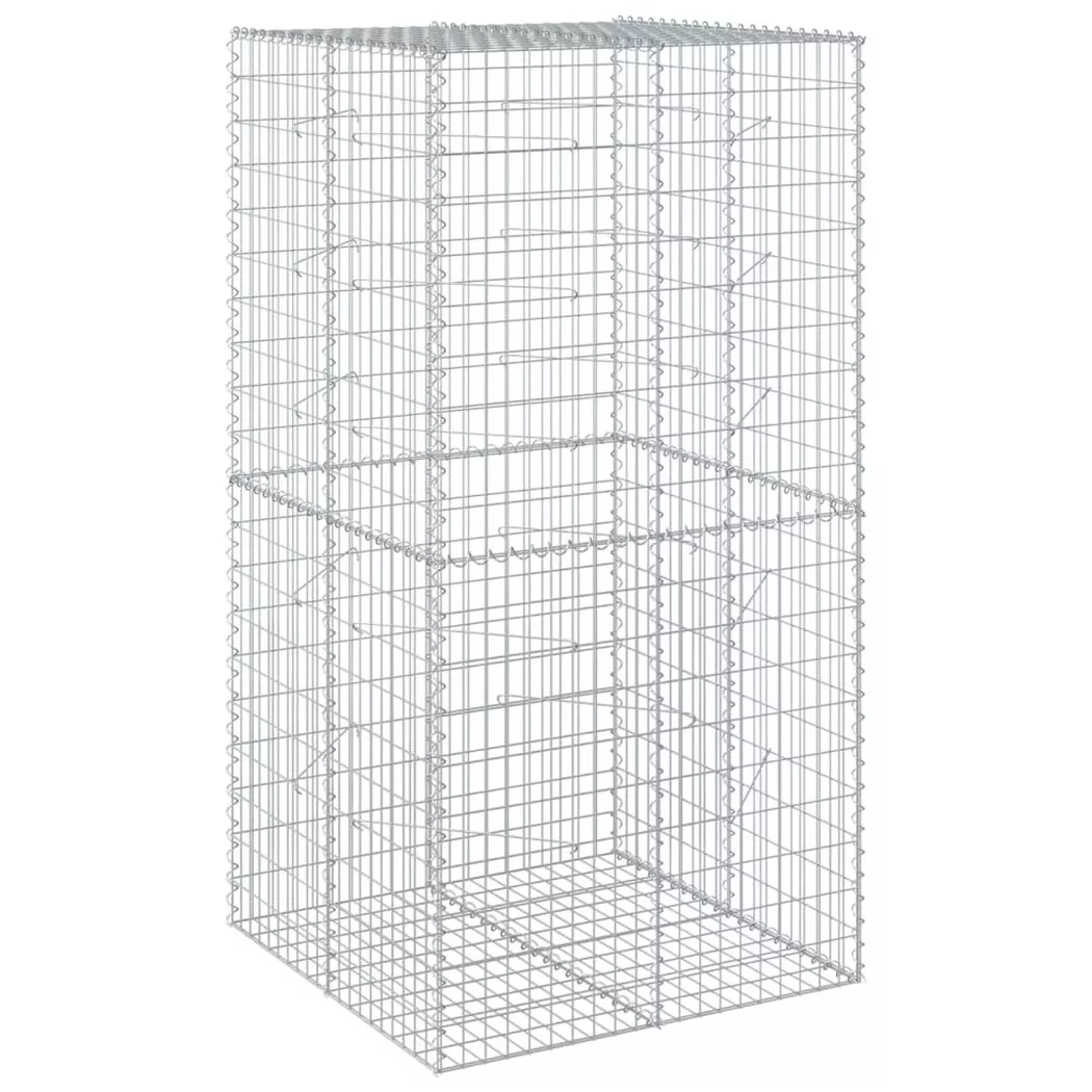 VidaXL - Panier gabion fer, One Size, Argent