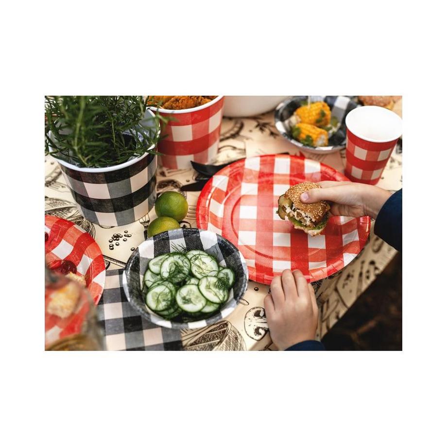 PartyDeco assiettes jetables barbecue  