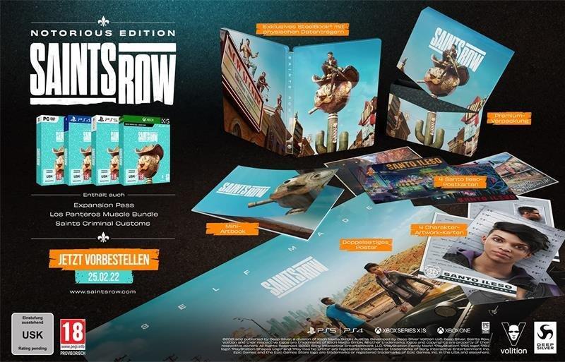 DEEP SILVER  Saints Row - Notorious Edition 