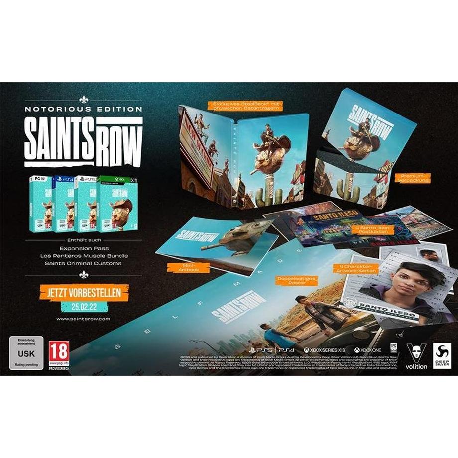 DEEP SILVER  Saints Row - Notorious Edition 