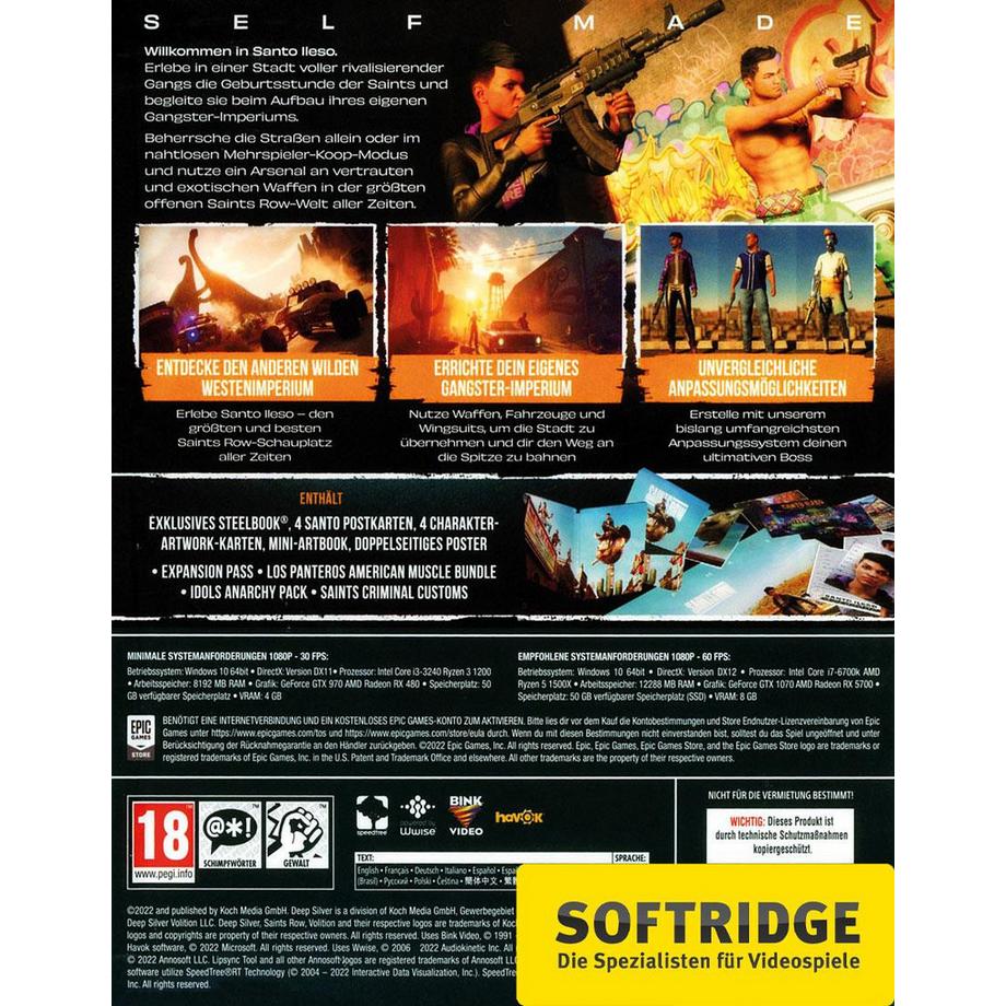 DEEP SILVER  Saints Row - Notorious Edition 