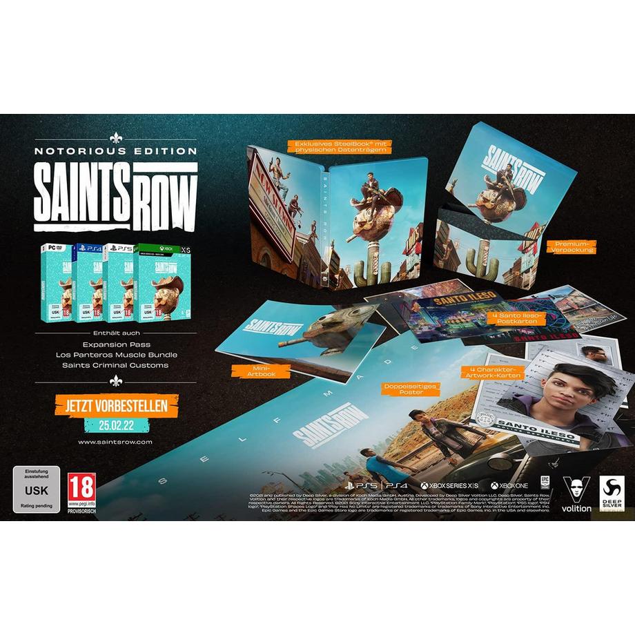 DEEP SILVER  Saints Row - Notorious Edition 