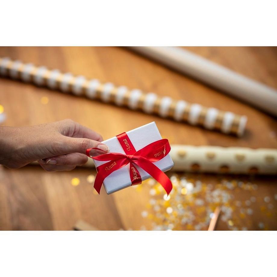 PTOUCH  PTOUCH Band rot/gold TZE-RW54 Tze Geräte 24mm 