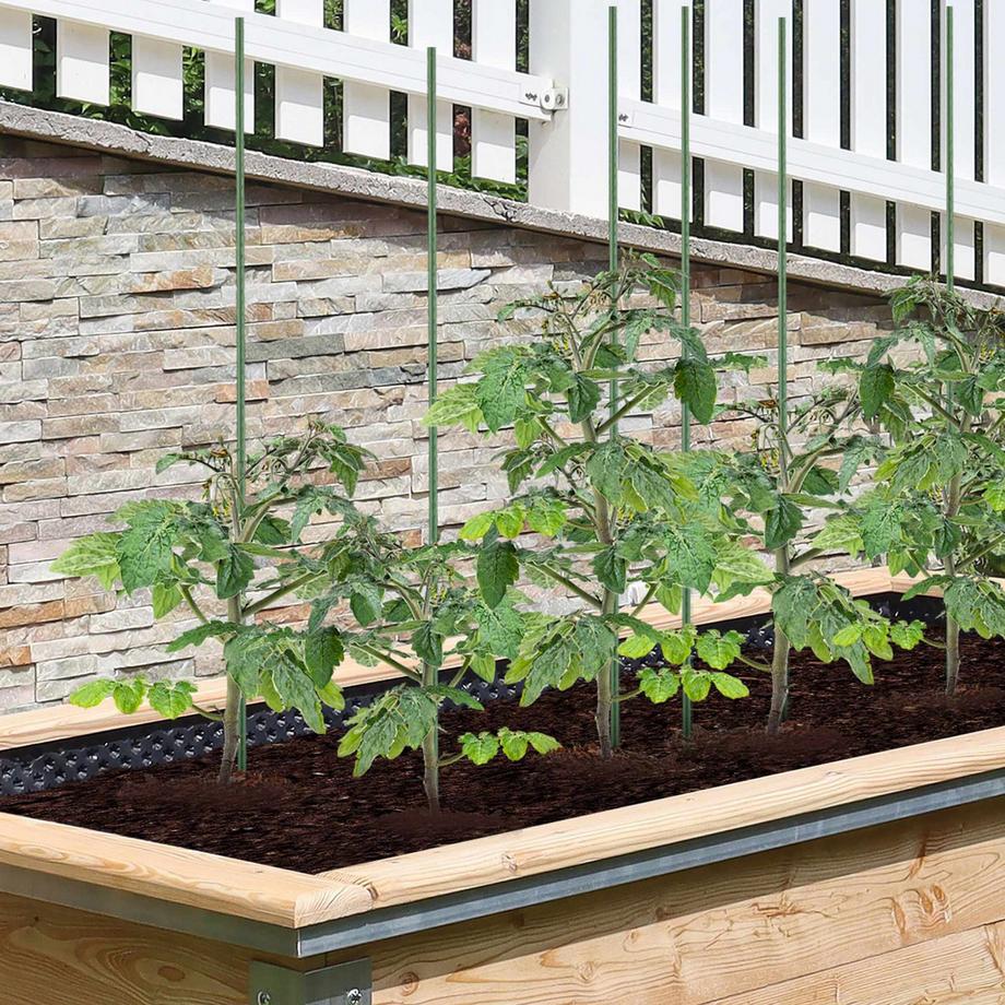 B2X  Pflanzstäbe 100 cm im 10er-Pack 