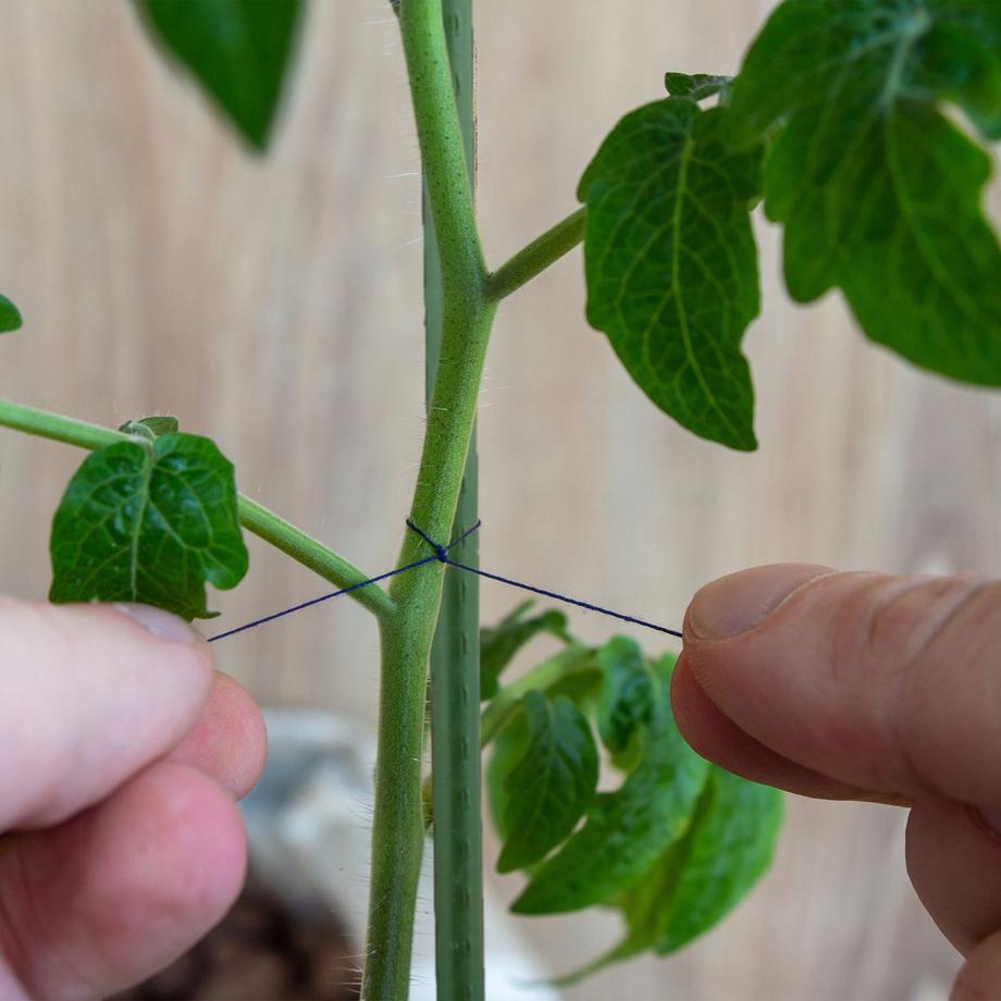 B2X  Pflanzstäbe 100 cm im 10er-Pack 