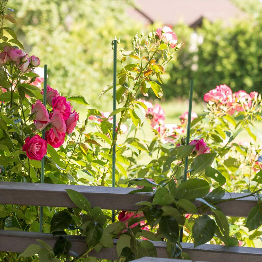 B2X  Pflanzstäbe 100 cm im 10er-Pack 