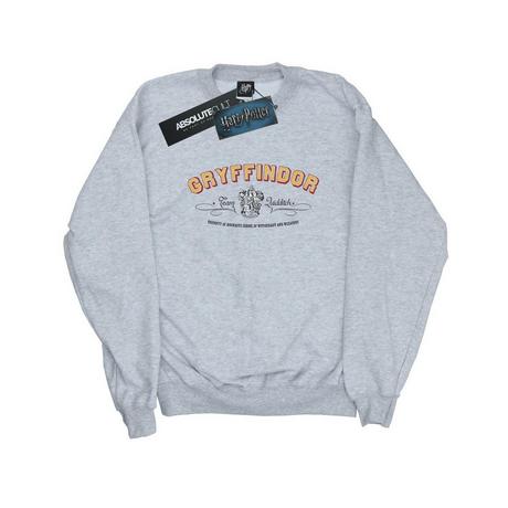 Harry Potter  Sweat GRYFFINDOR QUIDDITCH 