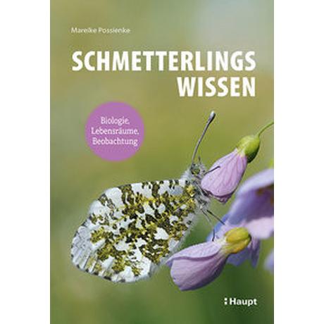 Schmetterlingswissen Possienke, Mareike Copertina rigida 