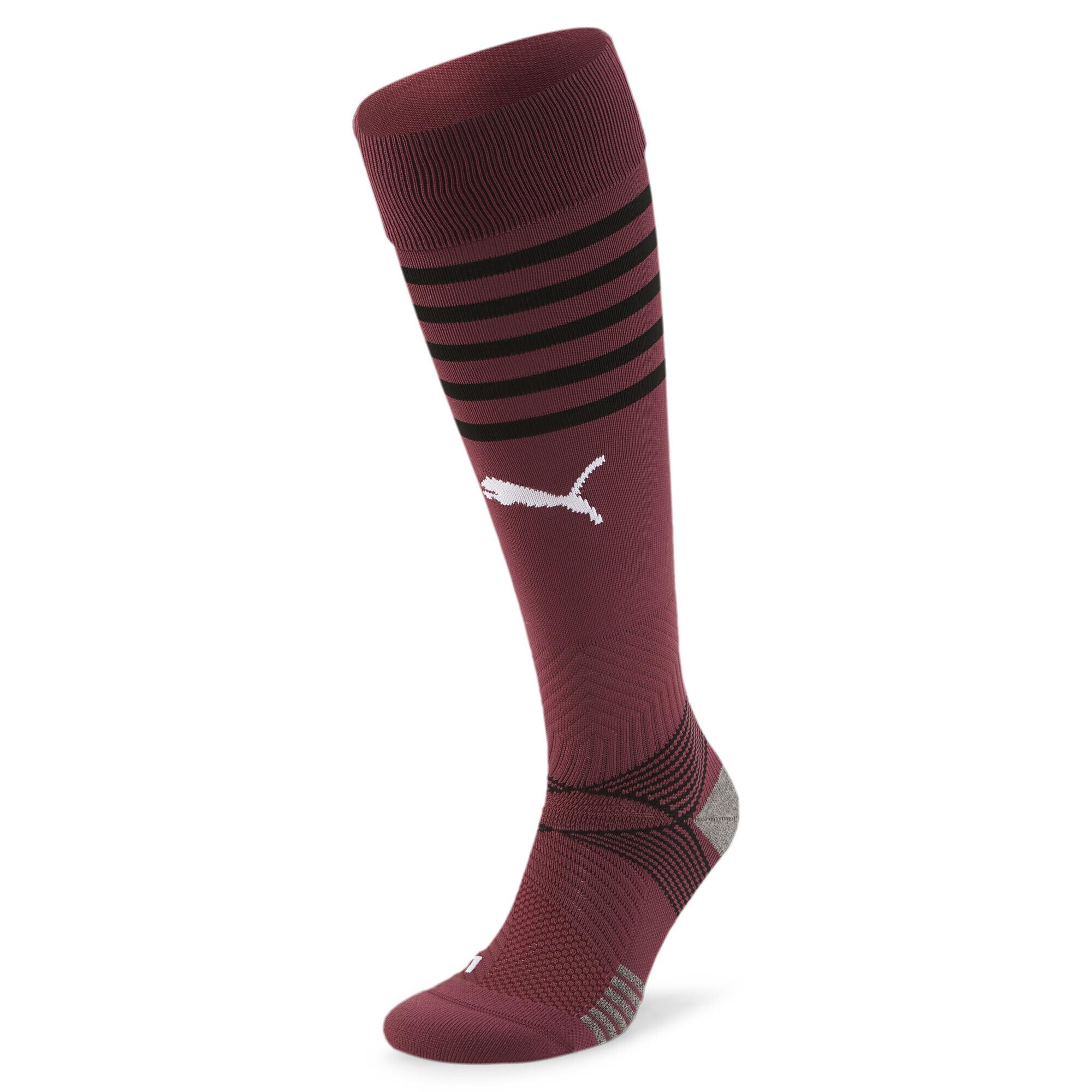 Image of Socken Teamfinal Herren 39-42