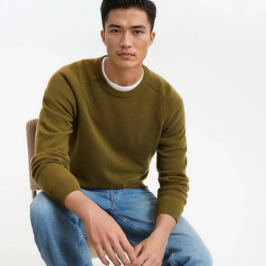 La Redoute Collections Pull col rond en lambswool  