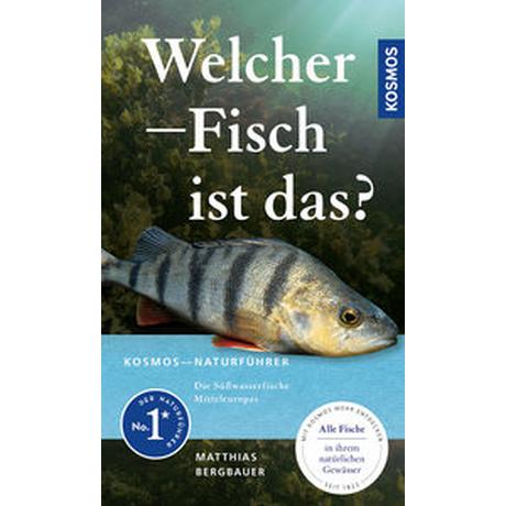 Welcher Fisch ist das? Bergbauer, Matthias Copertina rigida 