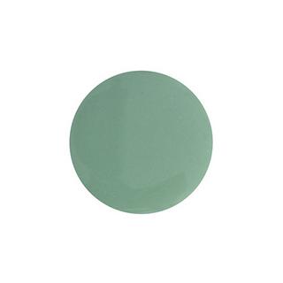 LAUED   bio-based Nagellack Cactus 2 