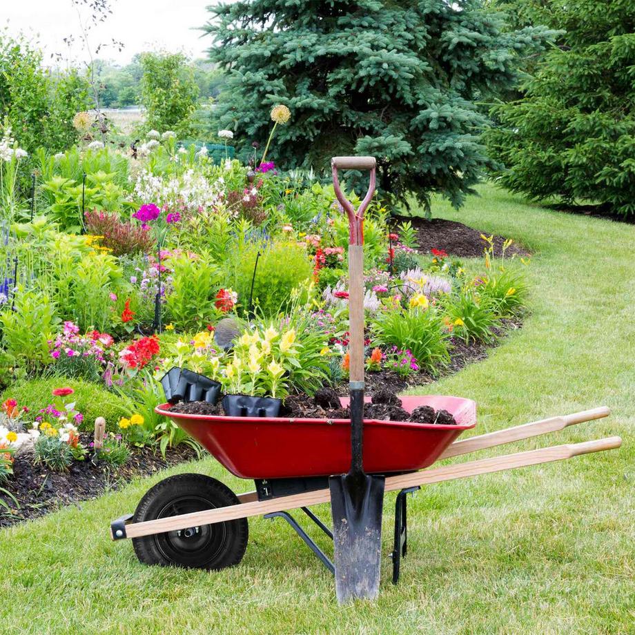 B2X  Roue pour brouette 3.50-8 avec pneus 