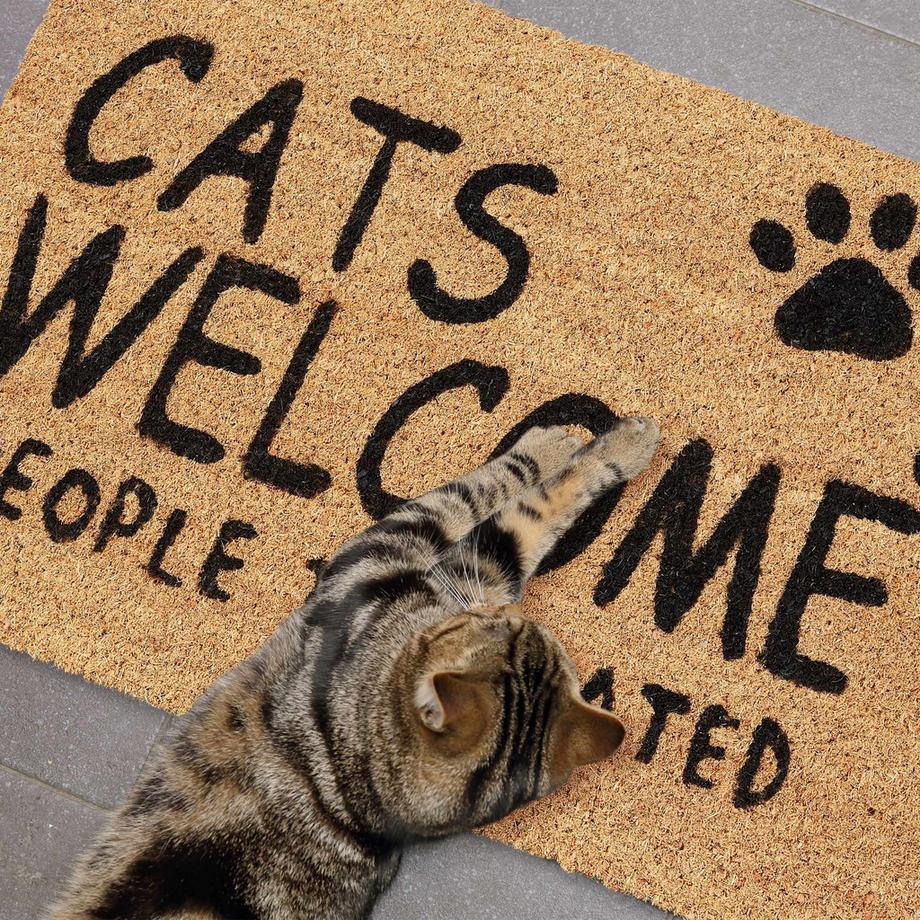 B2X Fußmatte Kokosfaser Cats Welcome  