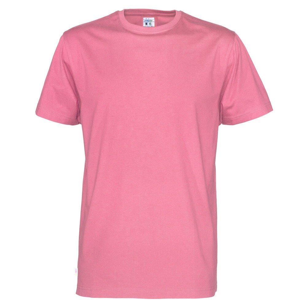 Cottover T-Shirt Regular Fit  