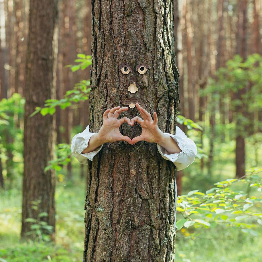 B2X  Holzoberfläche 4-teilig 
