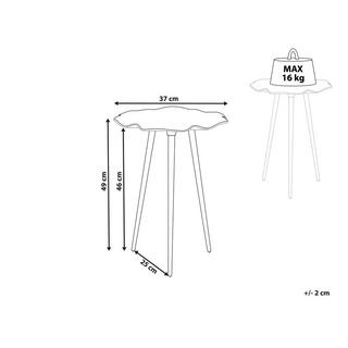 Beliani Beistelltisch aus Aluminium Retro PUDUR  