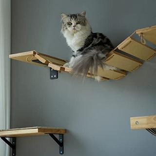 Alopini  Mur d'escalade pour chats, pont pour chat de et chaise longue pour passerelle de bricolage, hamac pour chat et mur pour chat pour la plupart des chatons, chats moyens et grands 