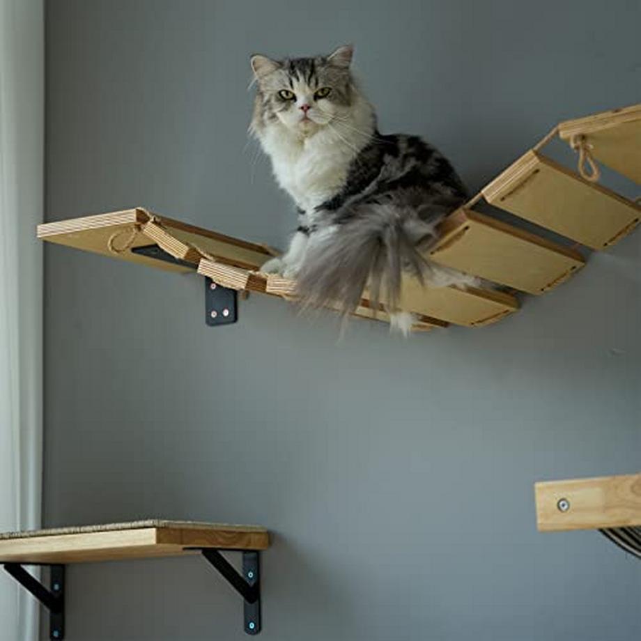 Alopini  Kletterwand Katzen, Katzenbrücke und Katzenliege für DIY Katzenlaufsteg, Katzenhängematte und 