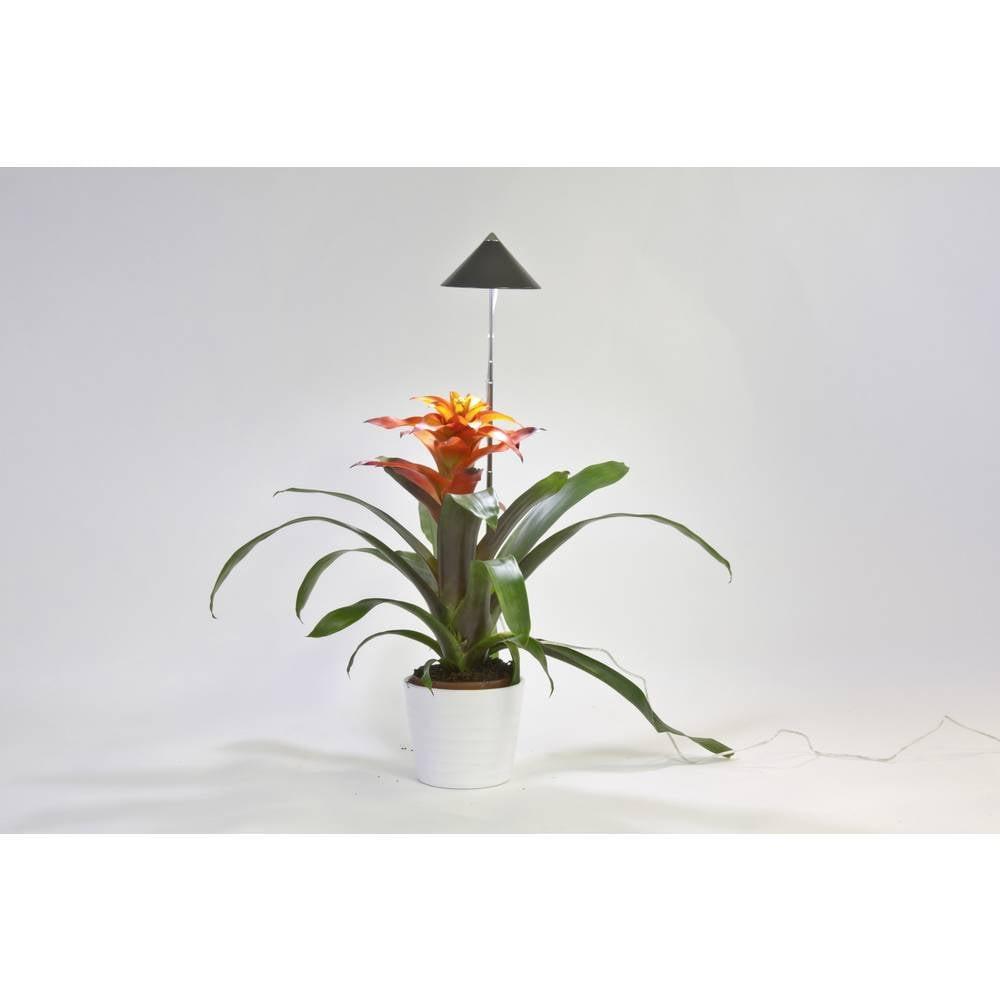 Venso Lampe de plantes LED SUNLITE  