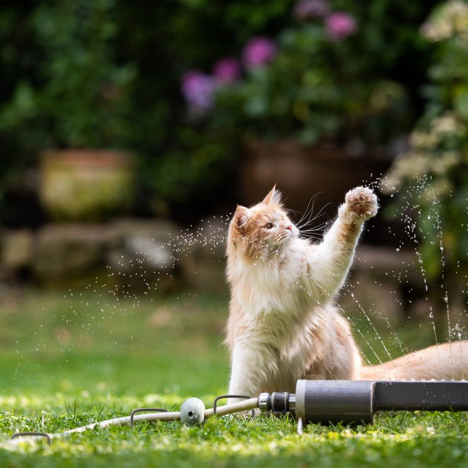 B2X  Bodenanker 15 cm im 250er Set 