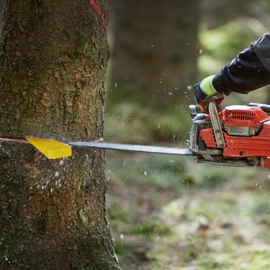 Northio  Klappkeil in 2 Größen 4er Set 