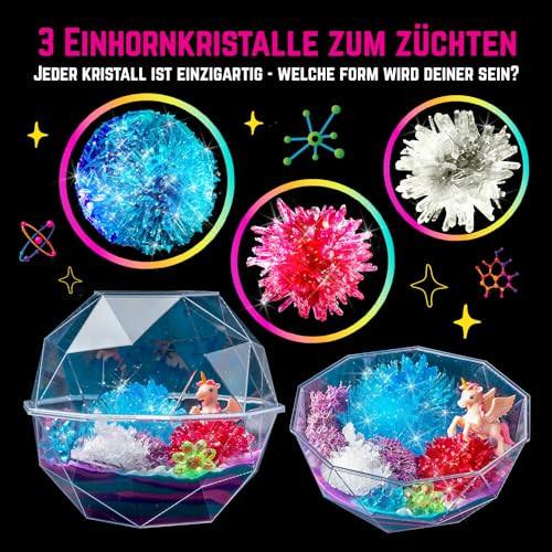 Activity-board  Züchten Sie Ihr eigenes Kristall-Dinosaurier-Terrarium-Kit, ein Einhorn-Terrarium-Kristallzucht-Kit für die Zucht von 3 Kristallen 