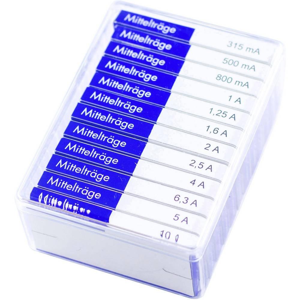 ESKA  ESKA 632.820 632820 Assortimento di mini fusibili (Ø x L) 6.3 mm x 32 mm Semi ritardato Contenuto 120 Parti 