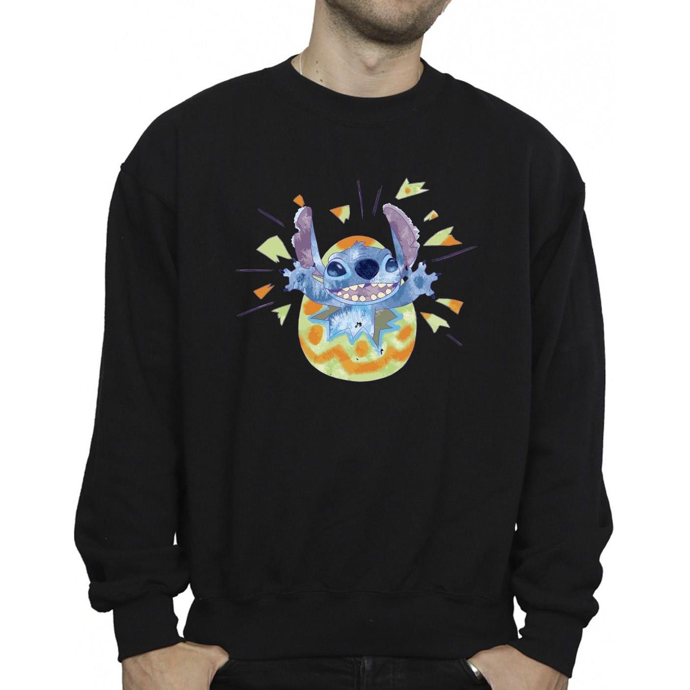 Disney  Sweatshirt 