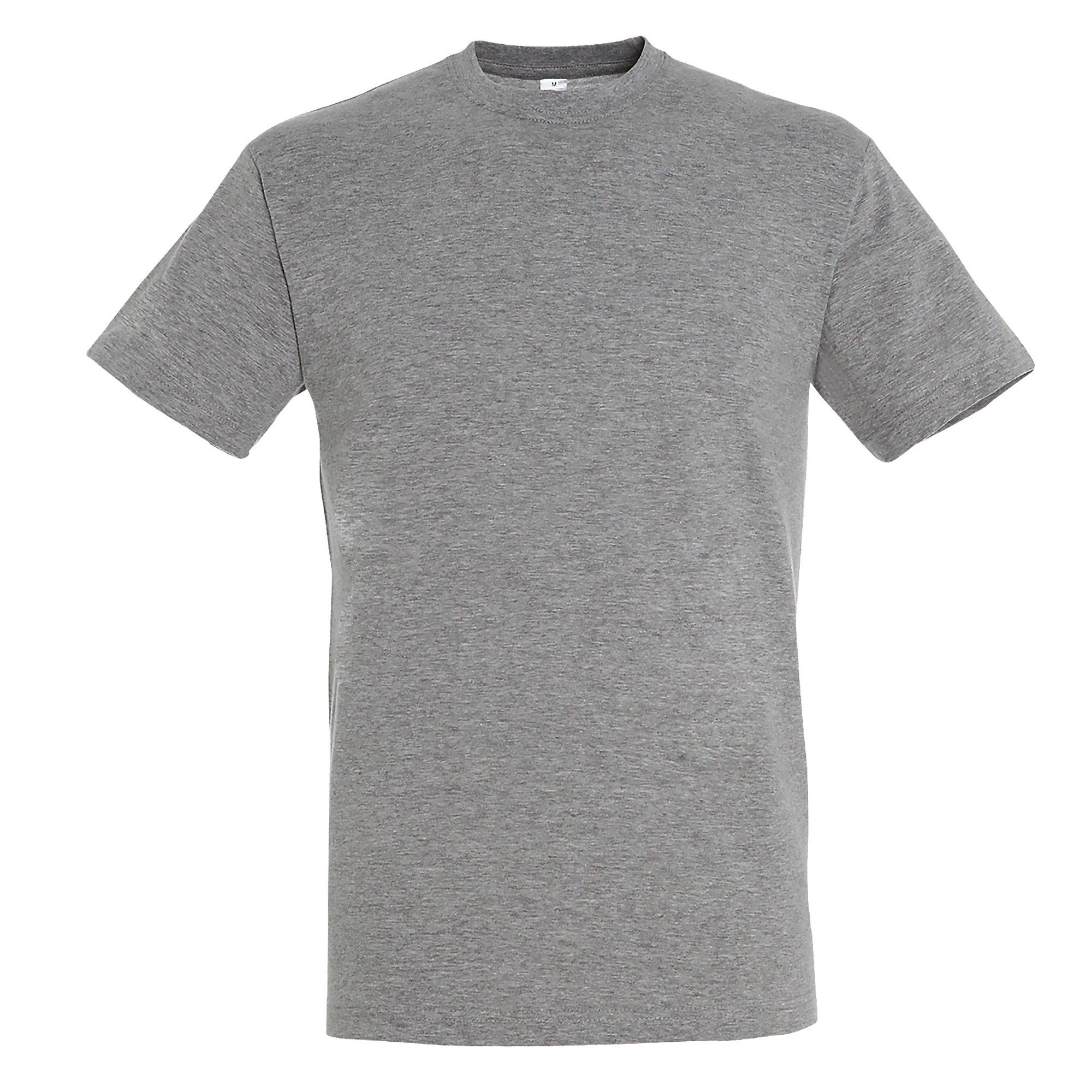 Image of Regent Tshirt, Kurzarm Herren Taubengrau 4XL