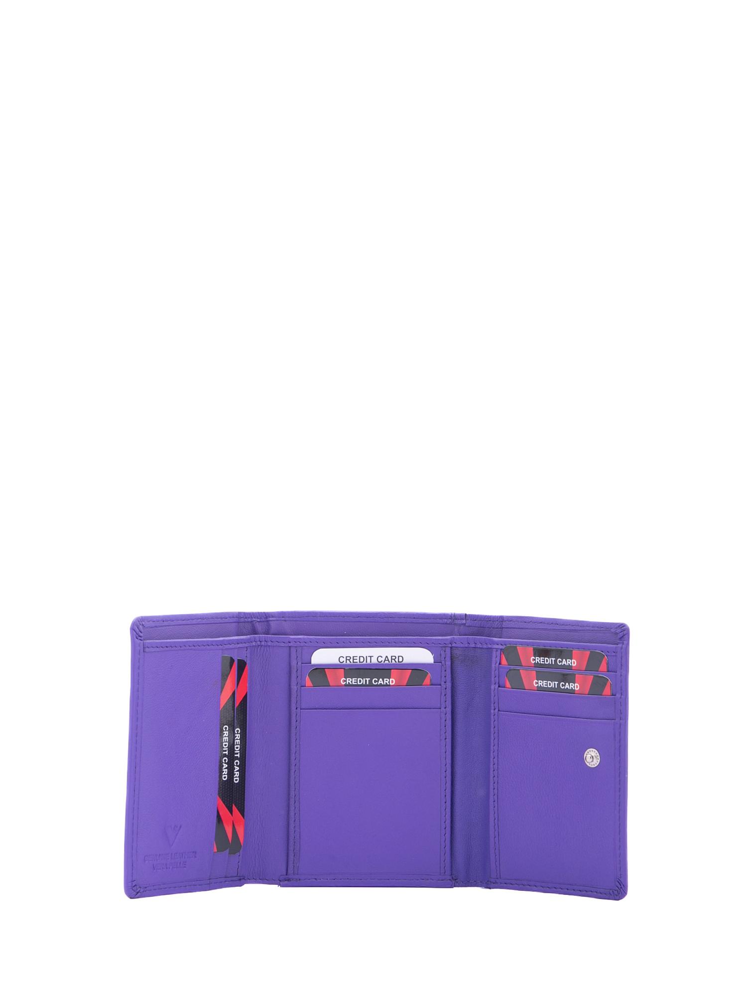 Sergio Valentini Portafoglio  