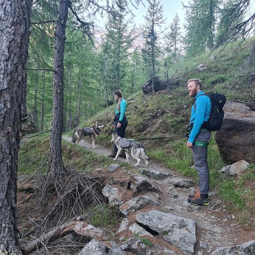 Image of Huskytrekking Nach Eisten Inkl. Grillplausch (für 1 Jugendliche) Unisex