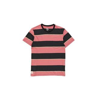 Globe  t-shirt bootleg dreas stripe 