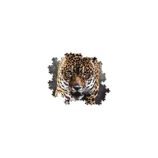 Clementoni  Puzzle Walk of the Jaguar (1000Teile) 