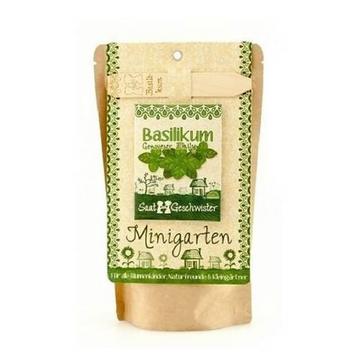 Minigarten Basilikum