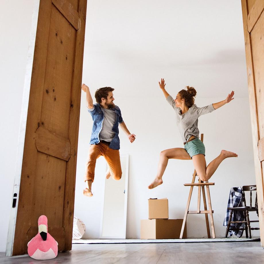 B2X  Türstopper Stoff Flamingo 