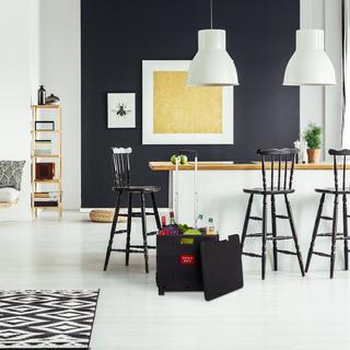 B2X Carrello della spesa pieghevole  