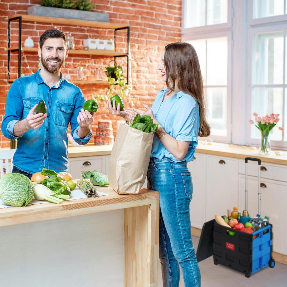 B2X Chariot de courses pliable  