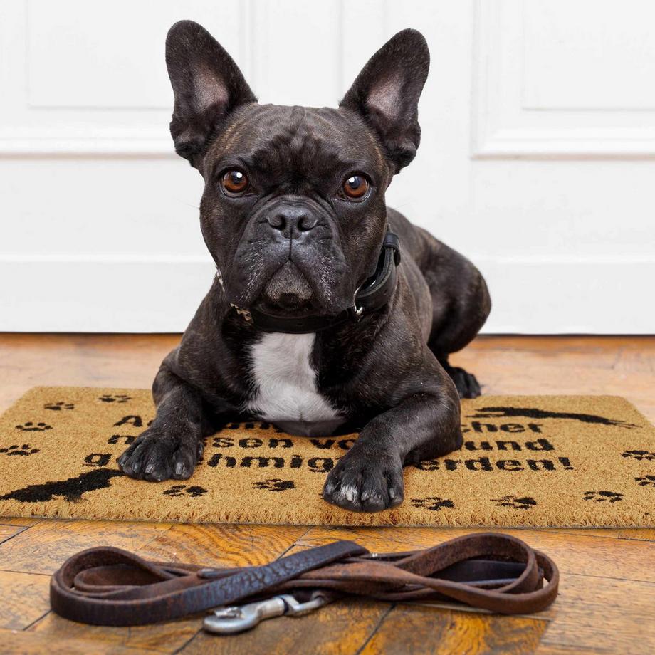 B2X Fußmatte Kokosnuss Hund  