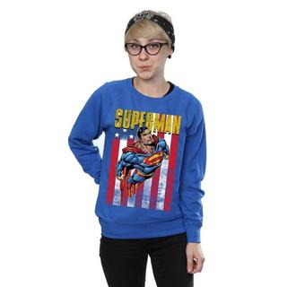 DC COMICS  Sweatshirt 