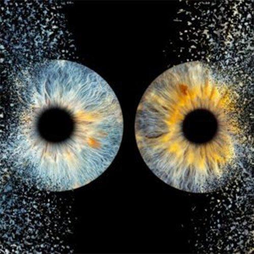 Image of Iris-fotografie Auf Plexiglasblock (für 2 Personen) Unisex