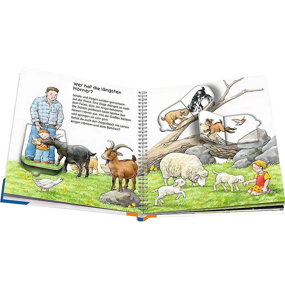 Wieso? Weshalb? Warum? Im Streichelzoo (Nr.35) Möller, Anne; Möller, Anne (Illustrationen) Copertina rigida 