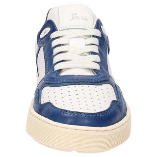 Sioux  Sneaker Tedroso-DA-700 