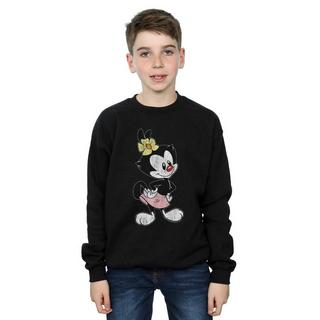 Animaniacs  Sweatshirt 